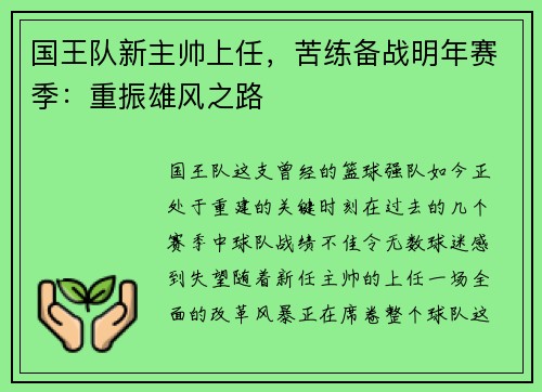 国王队新主帅上任，苦练备战明年赛季：重振雄风之路