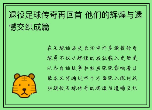 退役足球传奇再回首 他们的辉煌与遗憾交织成篇